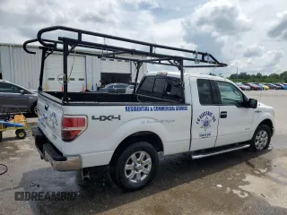 2013 Ford F-150 XL with VIN 1FTFX1ET4DFD75388, listed as a Copart auction lot 60326025 with 230,578 mi miles and Salvage title. Bid and sale history available at DreamBid. Image 3.