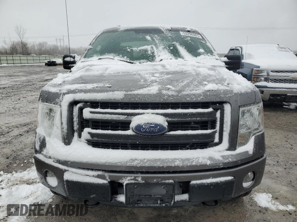2013 Ford F-150 XL with VIN 1FTFX1EF4DFC75804, listed as a Copart auction lot 53296965 with 179,556 mi miles and Clean Title. Bid and sale history available at carsss.com. Image 5.