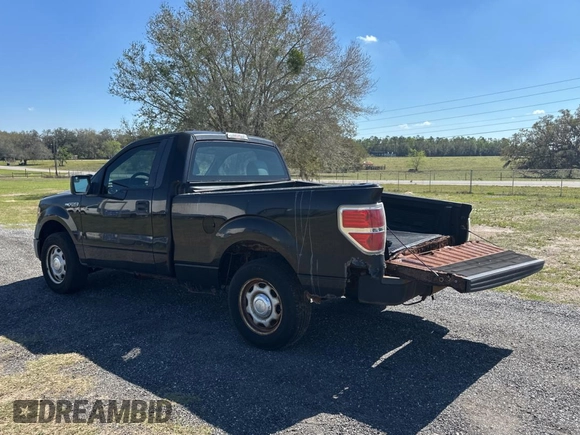 2013 Ford F-150 XL с VIN 1FTMF1CM7DFE09796, выставлен на аукционе Copart как лот 47272235 с пробегом 67 872 миль миль и Чистый • Clean title. История ставок и продаж доступна на DreamBid. Изображение 3.