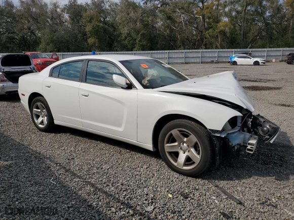 2014 Dodge Charger Police with VIN 2C3CDXAT0EH207305, listed as a Copart auction lot 43279514 with 0 mi miles and Salvage Title. Bid and sale history available at carsss.com. Image 4.