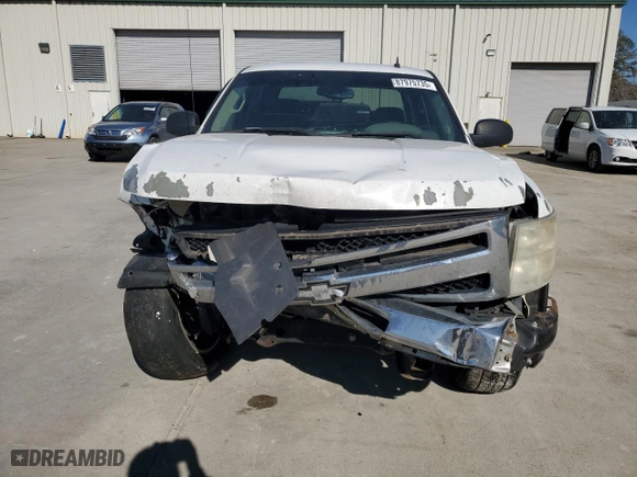 2009 Chevrolet Silverado 1500 LS with VIN 3GCEC13C49G117064, listed as a Copart auction lot 87975735 with 268,101 mi miles and Salvage Title. Bid and sale history available at carsss.com. Image 5.