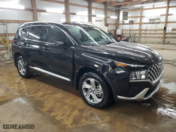 2022 Hyundai Santa Fe SEL with VIN 5NMS24AJ2NH447292, listed as a Copart auction lot 52899565 with 61,171 mi miles and Clean Title. Bid and sale history available at carsss.com. Image 4.