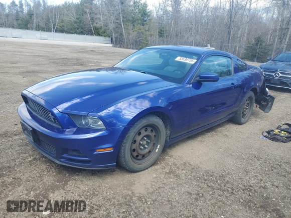 2014 Ford Mustang V6 with VIN 1ZVBP8AM9E5317478, listed as a Copart auction lot 53539755 with 305,642 mi miles and Salvage Title. Bid and sale history available at carsss.com. Image 1.